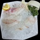 섬마을장어구이 - 강서구 가덕해안로1208번길 45 | [신안 맛집] 천사분재공원 근처 상다리 부러지는'섬마을회정식' 영접 후기