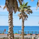 제주독채펜션 라리저브 감성펜션 이미지