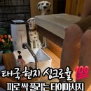 태국마사지 | 동성로 마사지 전문점 몽타이마사지&amp;스킨 태국마사지 후기