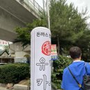 유미카츠 | [춘천] 돈까스 전문 맛집 “유미카츠” 다녀온 솔직후기 :)