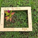 [경기 의왕] 의왕 바라산 자연휴양림 - 백운산동 102호 1박 후기