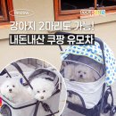 원대병원 앞(북일초등학교 방향) | 노령견 병원 이동용 강아지 유모차, 쿠팡 내돈내산 4만원대