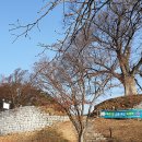 부여(임천)-11 이미지