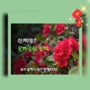 남구문화원 화장실 이미지