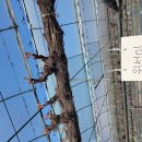 성미농장 이미지