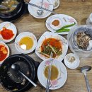 포항 문덕 삼계탕 몸보신에 좋은 &#39;황금상황버섯삼계탕오리&#39; 내돈내산 후기