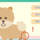 행복한 우리아이 동물병원 이미지