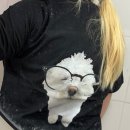 라인팩토리 | 커스텀티셔츠 제작은 라인팩토리! 단체티주문제작 반팔티셔츠 후기