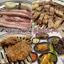 금통화로구이 | 종암동 고깃집 금통화로구이 내돈내산 오겹살 항정살 돼지갈비 솔직후기