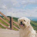 KT 개방화장실 이미지