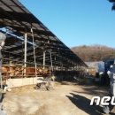 김기준농장 이미지