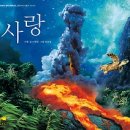 돼지사랑 이미지