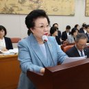 시수스포츠 이미지