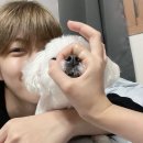 필기구 소개해주면 안되냐고? 어떤 필통? 색상을 정해줘