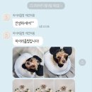 마이리틀멍 이미지