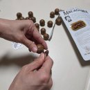 크리스탈 스포츠센터 | 마카다미아