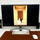 판교 w 스퀘어 그린페어리 스냅 후기_사진 셀렉 과정까지 공유! 추천