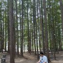 여차리399펜션 | 강화도 애견동반 펜션 ‘여차리399’