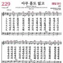 새찬송가 229장 - 아무 흠도 없고 [다니엘 새찬송가 전집 5] 이미지