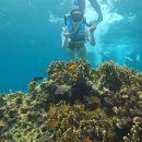 영욱 | [세부/막탄] 3. 모알보알 호핑 투어🫧🐠🦀🐢🏖️🤿