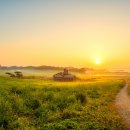 여명목장 이미지