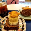 하이도나 이미지