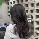 누리미용실 이미지