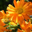 혁신마디의원 | [ 피부 근본 회복에 도움을 주는 자외선 차단제 ] 안티에이징 성분인 엑소좀으로 하는 낮에는 차단, 밤...