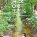 스테이즈믄