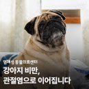 임재성동물의료센터 네이버블로그