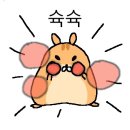 위스타트복싱 이미지