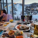 술의온도 | 휘닉스 평창 온도 디너부페 주말부페 26년 1월 아기랑 이용 후기