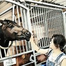 김선수농장 이미지