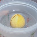 흙과소나무 | 어플라워가드닝 분갈이흙 후기 - 아보카도 씨앗 발화 후 화분에 옮겨심는 법