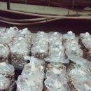 강희농장 이미지