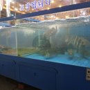 섬마을바다풍경 이미지