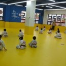 에코 호리 태권도 이미지