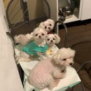 지리산리조트글램핑 이미지