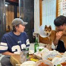 우리들의월정리 이미지