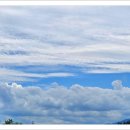 옥동손국수 이미지