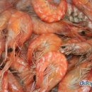 계절별미 이미지