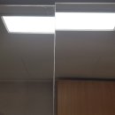 더포레스트 이미지