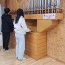 꽁냥이놀이터 이미지