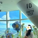스카이플라워 - 서초구 강남대로 27 | 서울 잠실 블루밍 유니버스 빅플라워 서울스카이 전망대 플라워 전시 후기