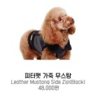 피터펫 이미지