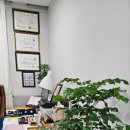 내 삶을 알아보는 명리학 이미지