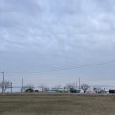 득량 | 보성 새조개 숭어 나폴리맛피아 맛집 득량수산 맛있네