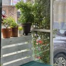 정통춘천닭갈비 | 안양 평촌학원가 맛집 추천, 정통춘천닭갈비 후기 (풍자 또간집 맛집, 주차정보, 웨이팅 정보)