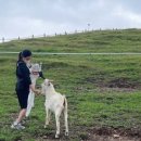 태성목장 이미지