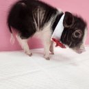 세종월드 이미지